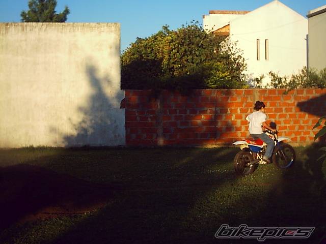 Photo 336603