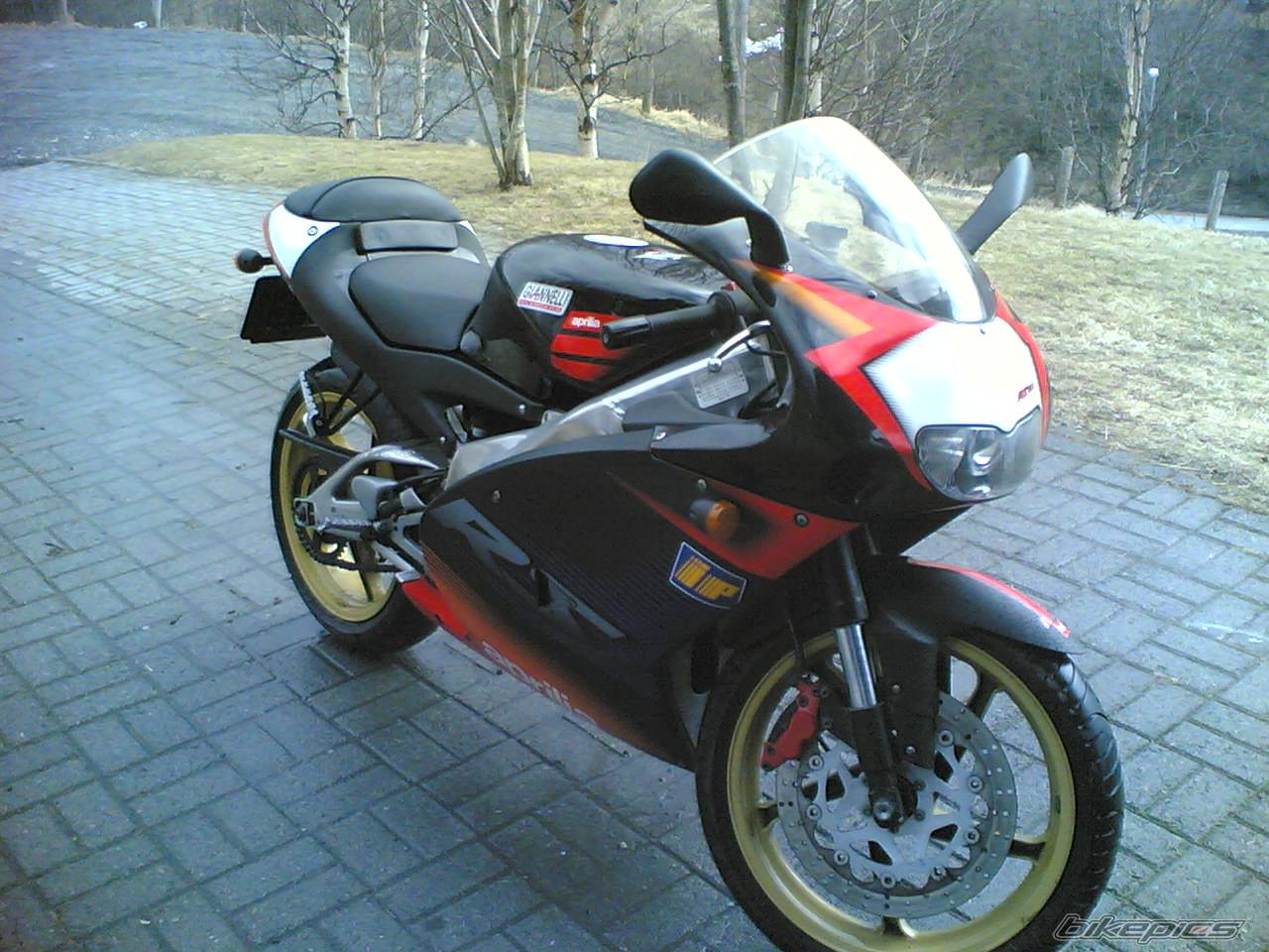Photo 336759