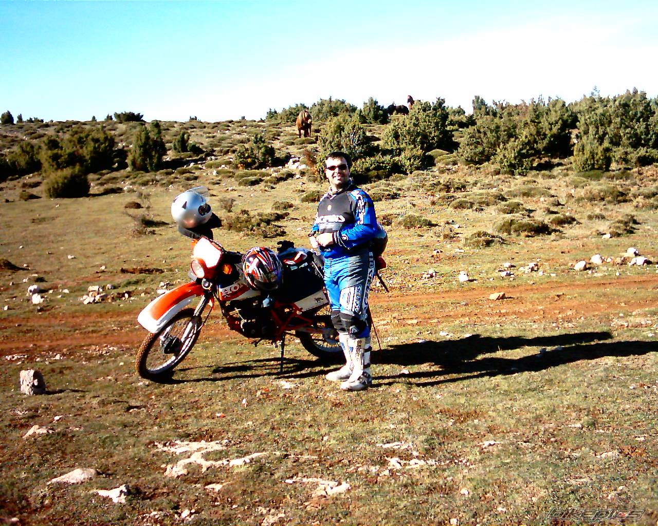 Bike Photo 336843