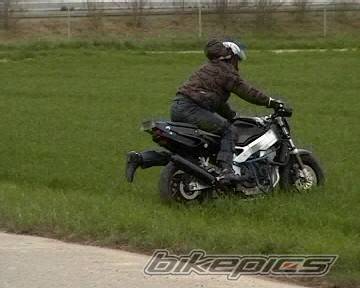 Photo 336966