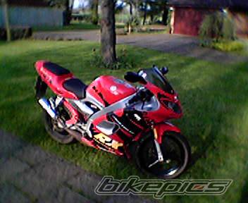 Photo 336987