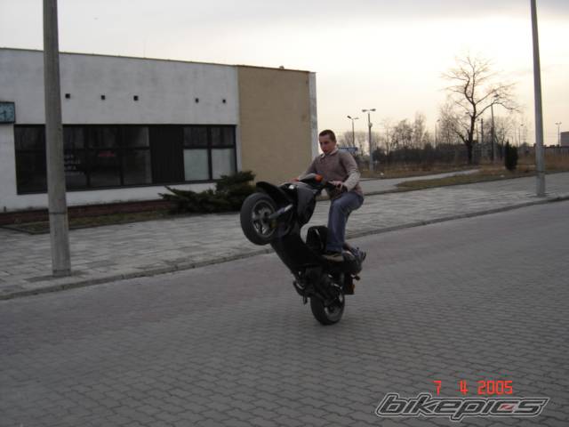 Photo 337032