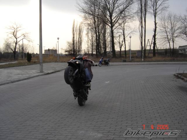 Photo 337033