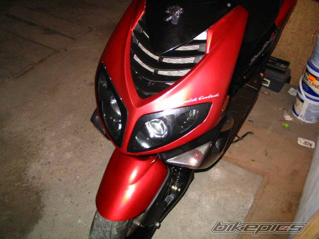 Photo 337101