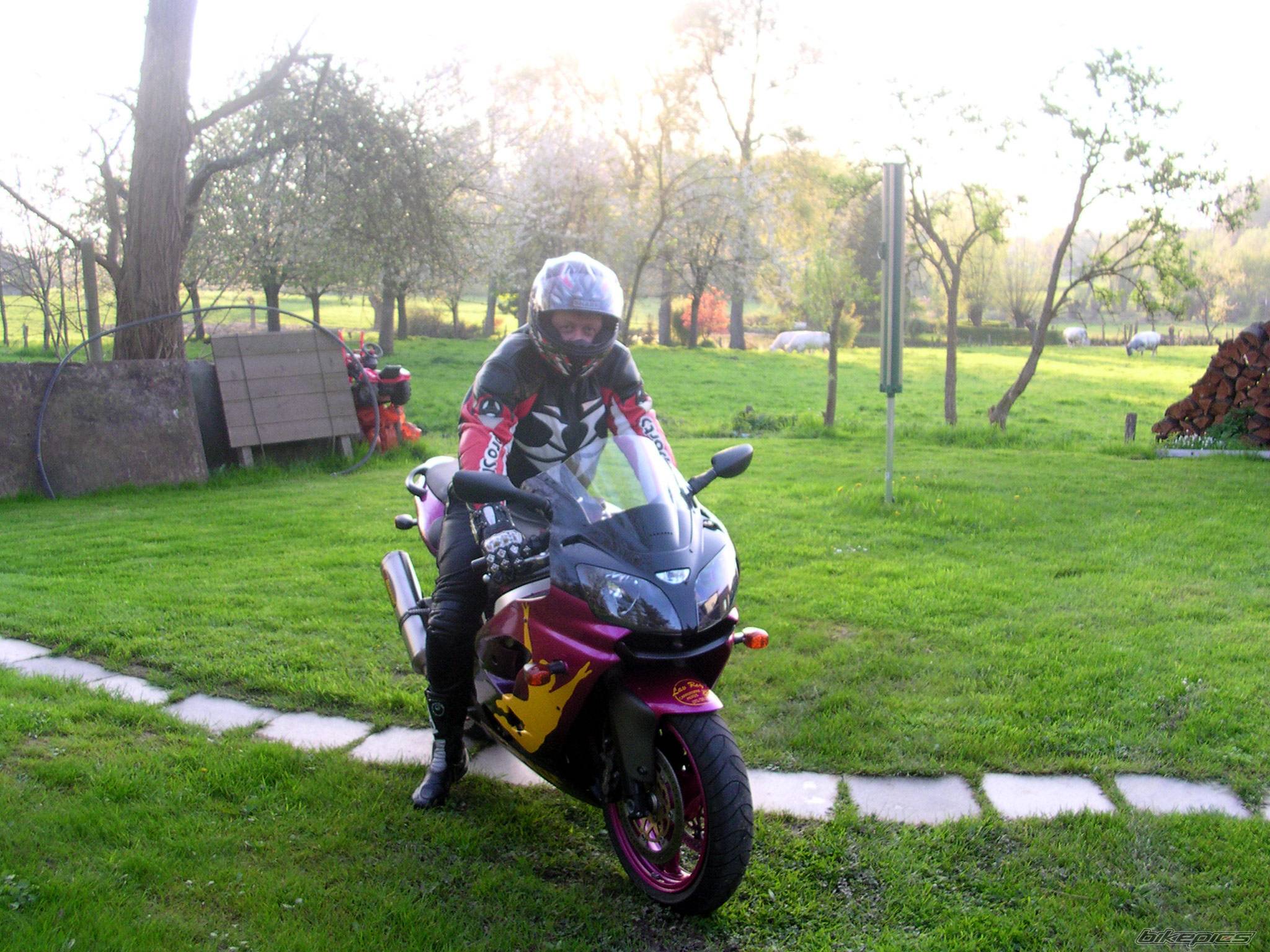 Photo 337121