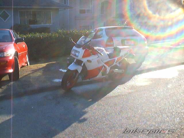 Photo 33714