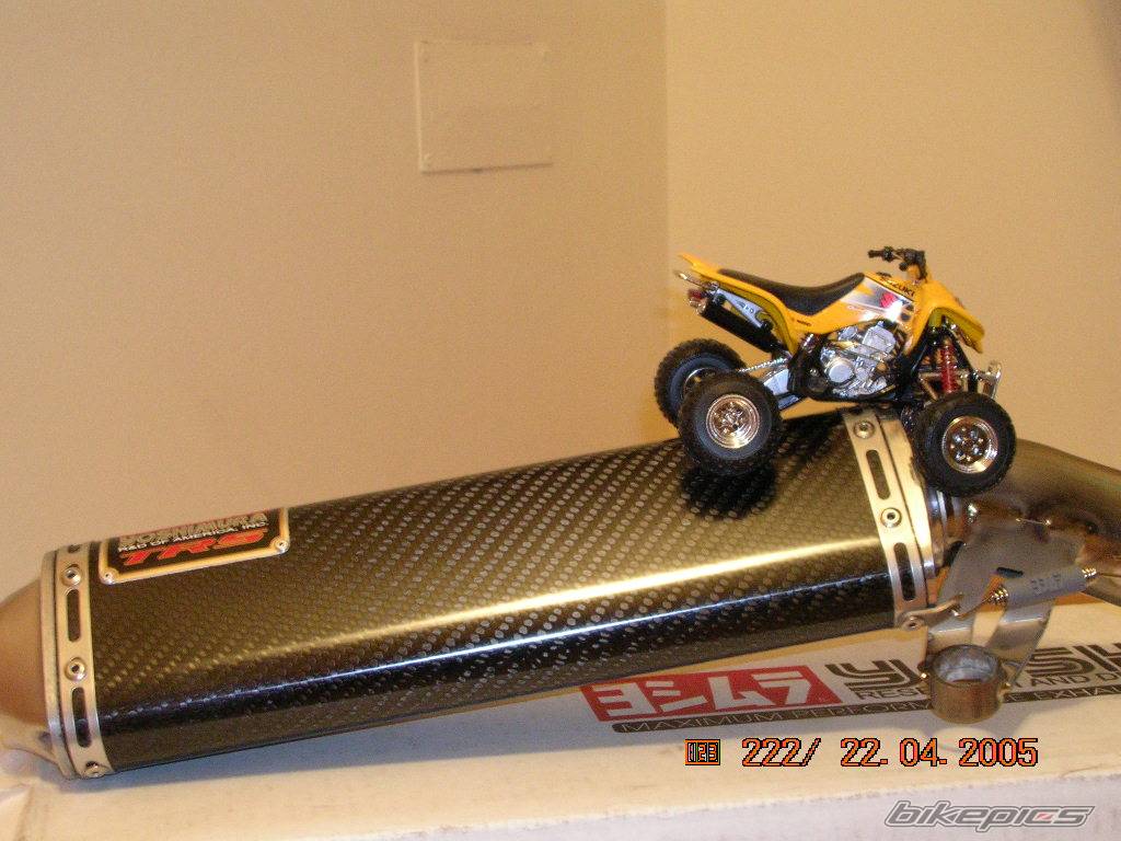 Photo 337173