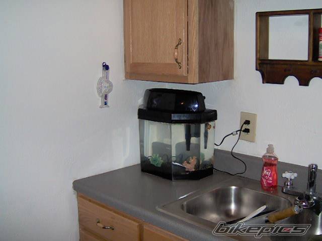 Photo 337211