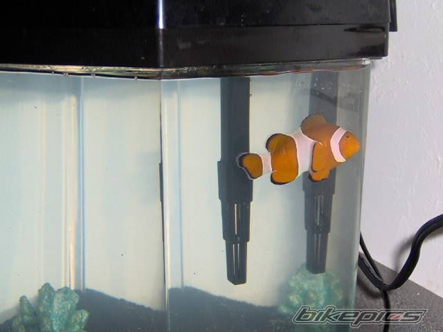 Photo 337213