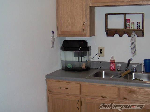 Photo 337216
