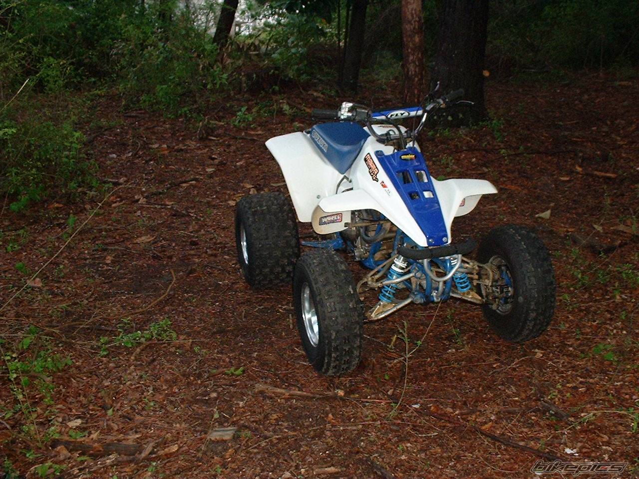 Photo 337226