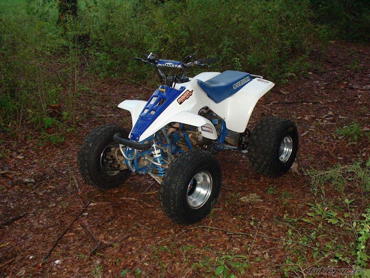 Photo 337235