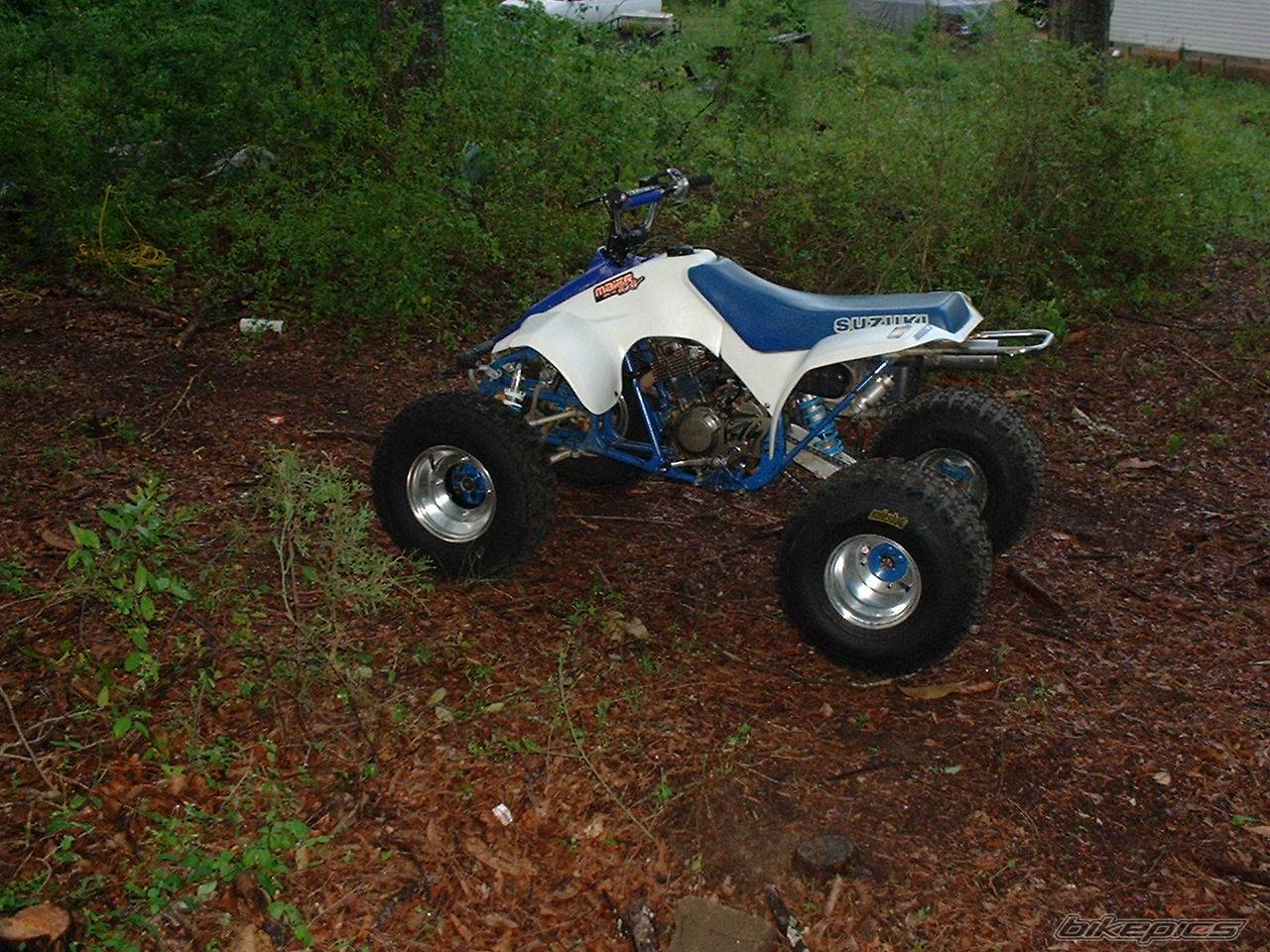Photo 337240