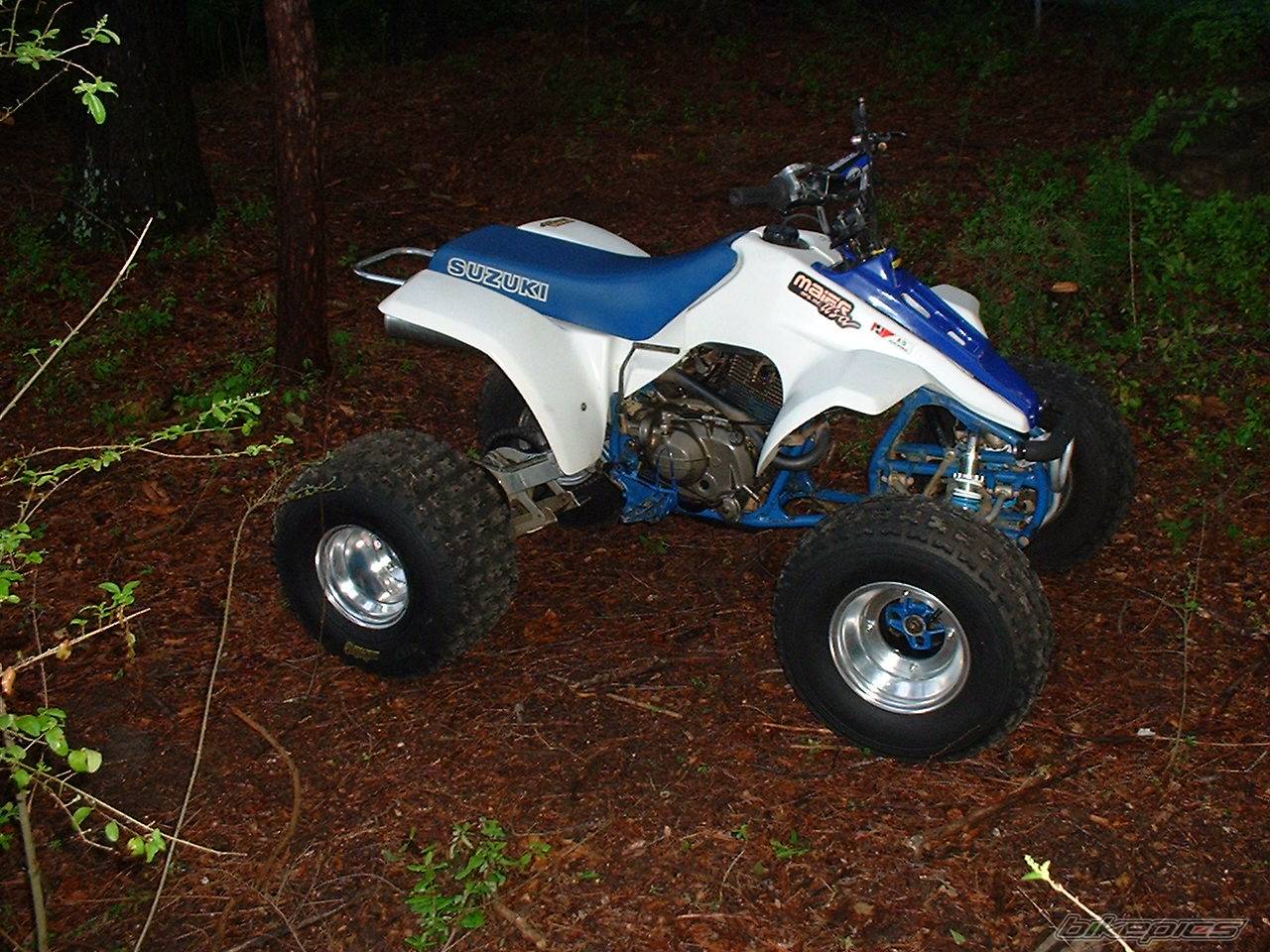 Photo 337254