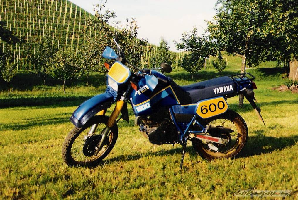 Bike Photo 337263