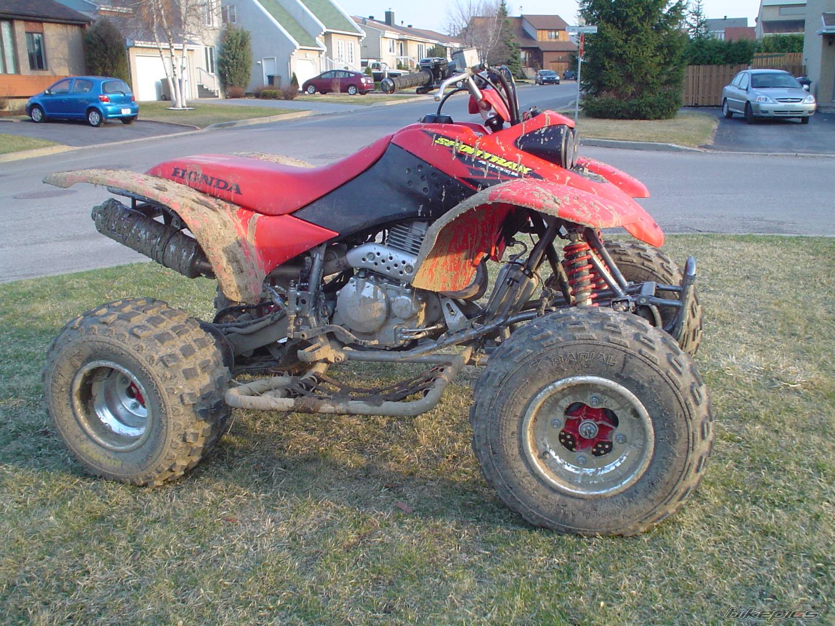 Photo 337278