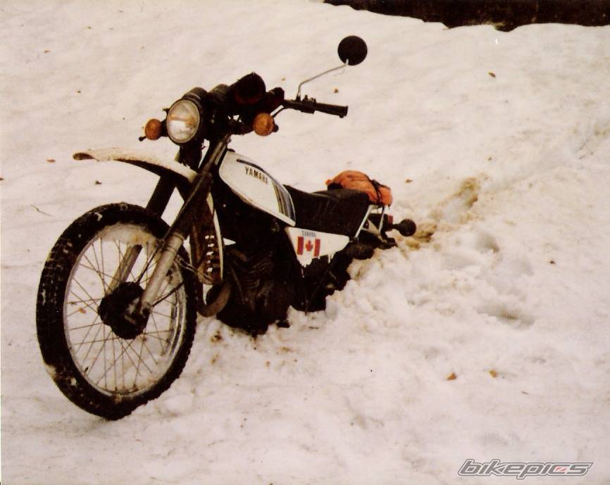 Bike Photo 337289