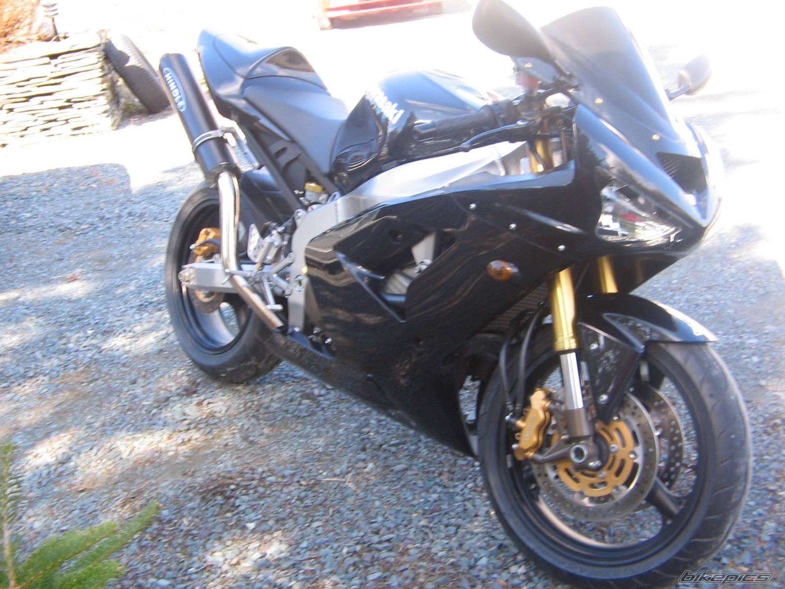 Photo 337299