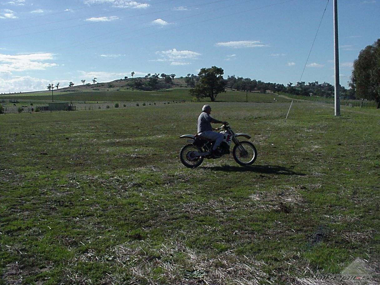 Photo 337342