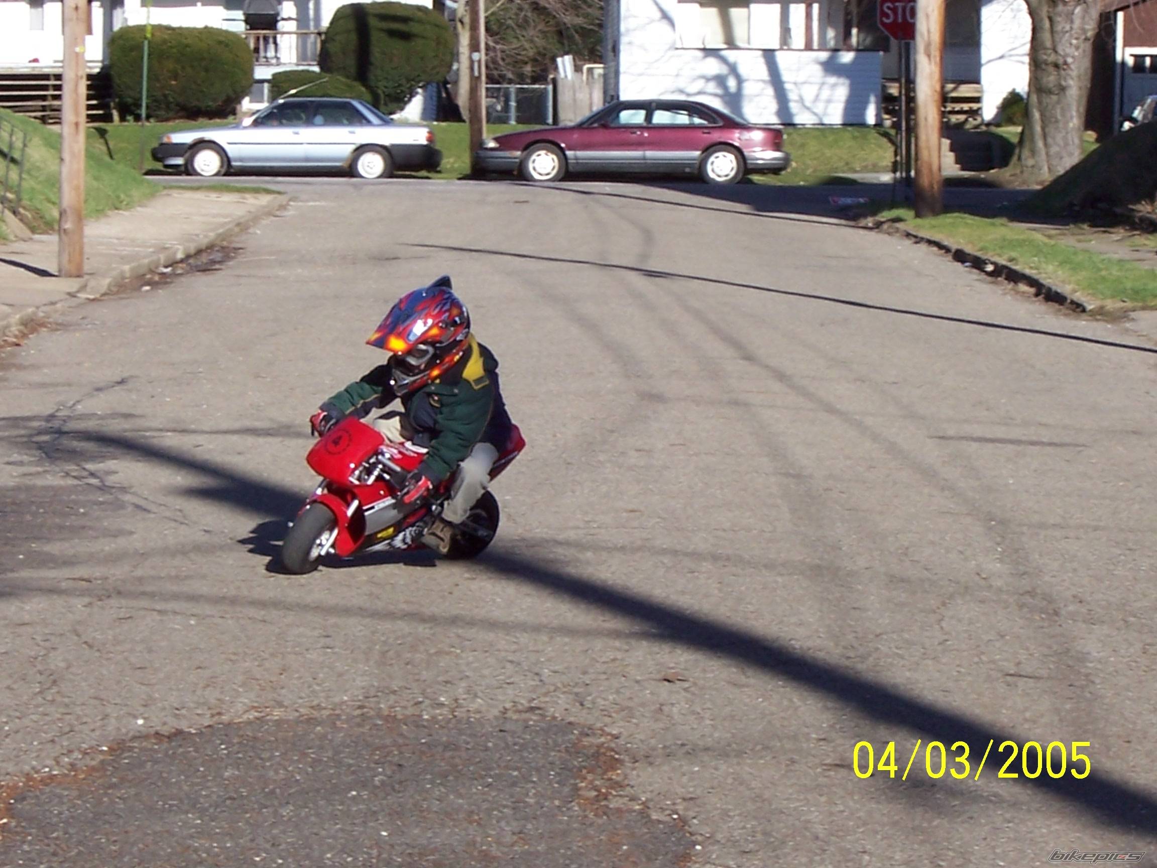 Photo 337350