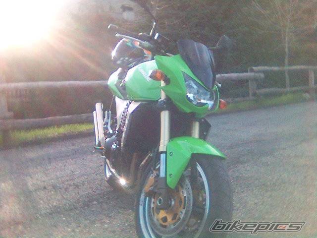 Photo 337380