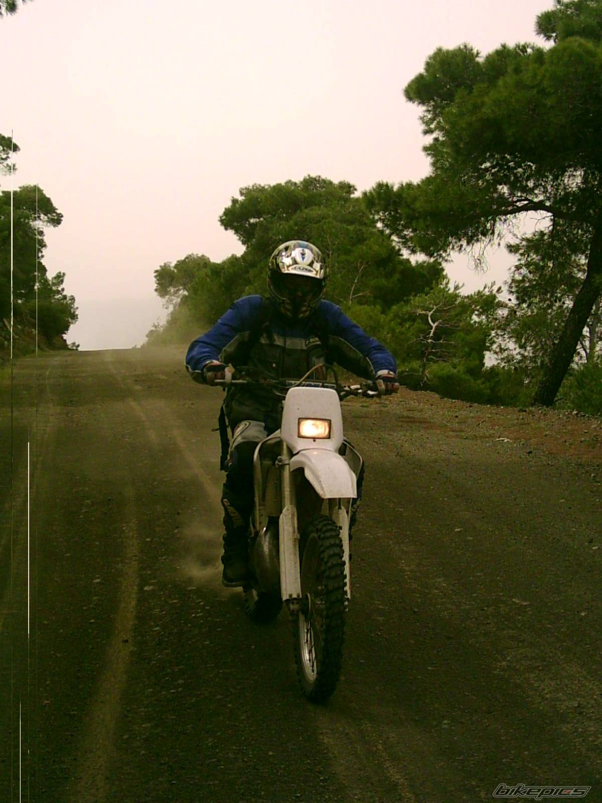 Photo 337430