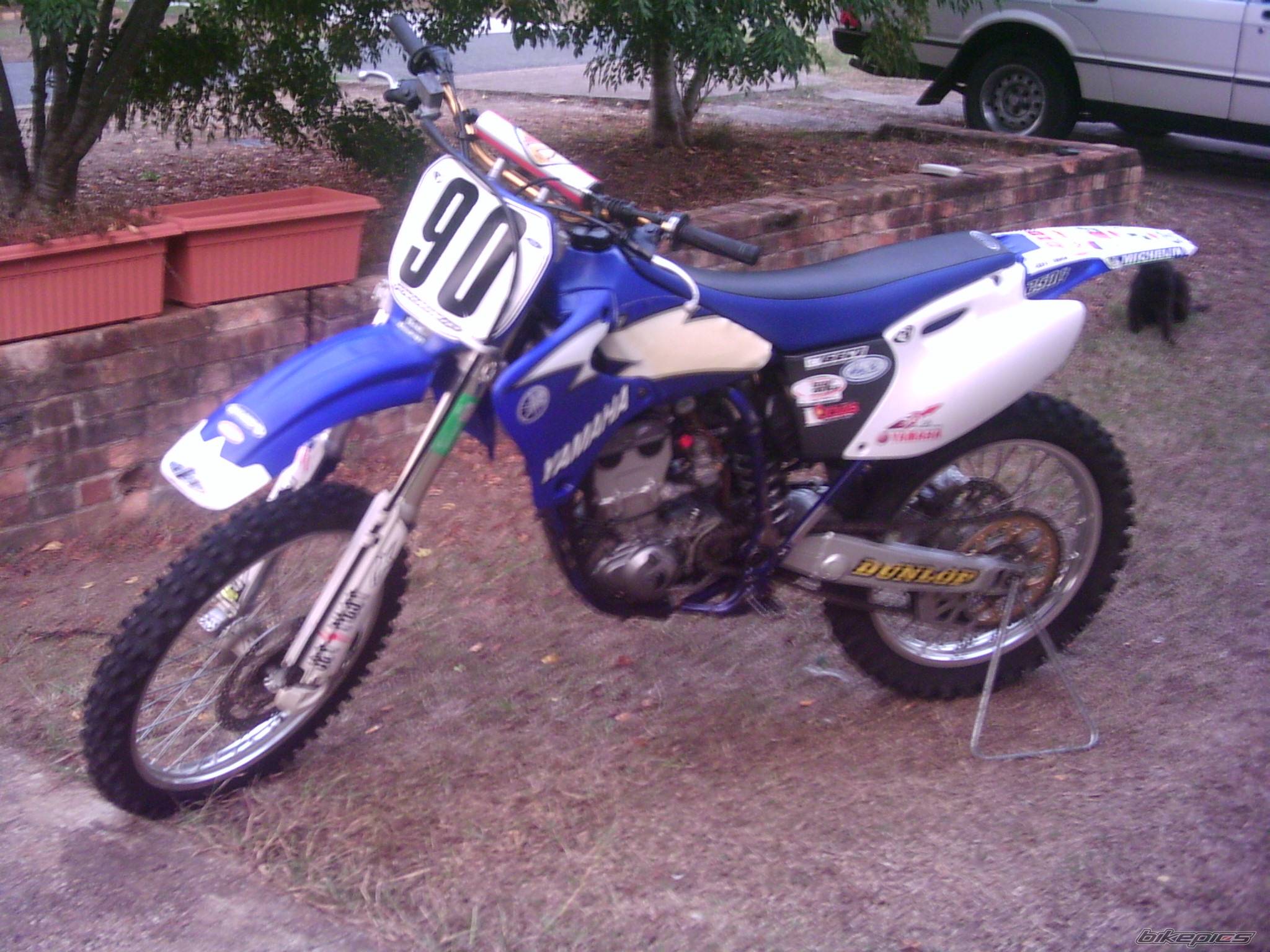 Photo 337442
