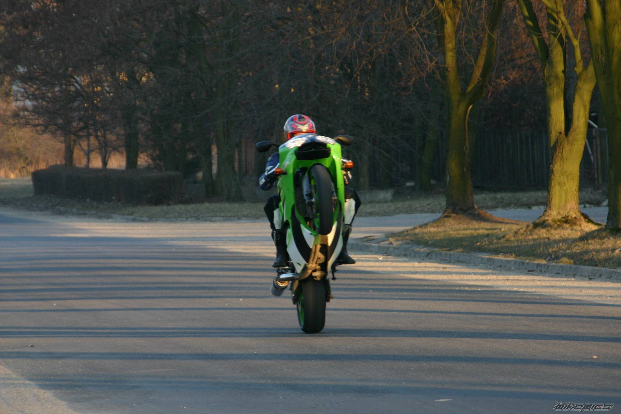 Bike Photo 337479
