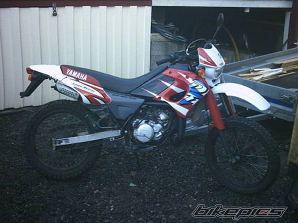 Photo 337571
