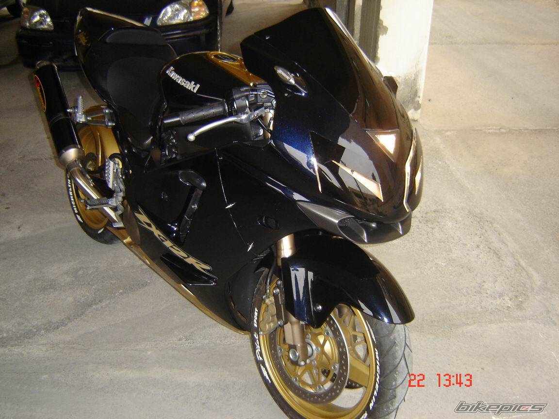 Photo 337579