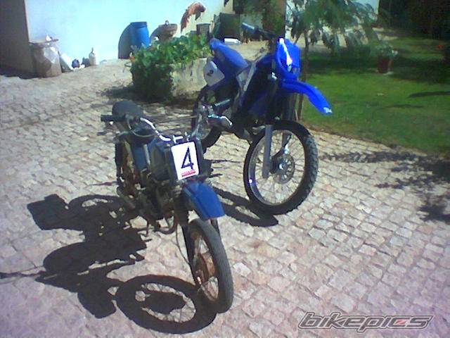 Photo 337590
