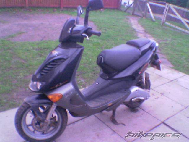 Photo 337630