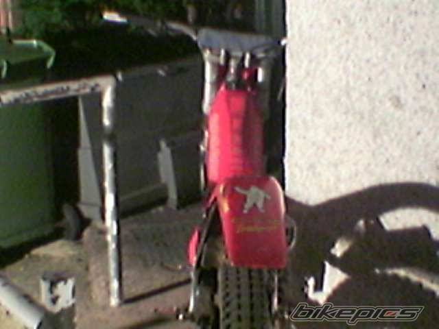 Photo 337631