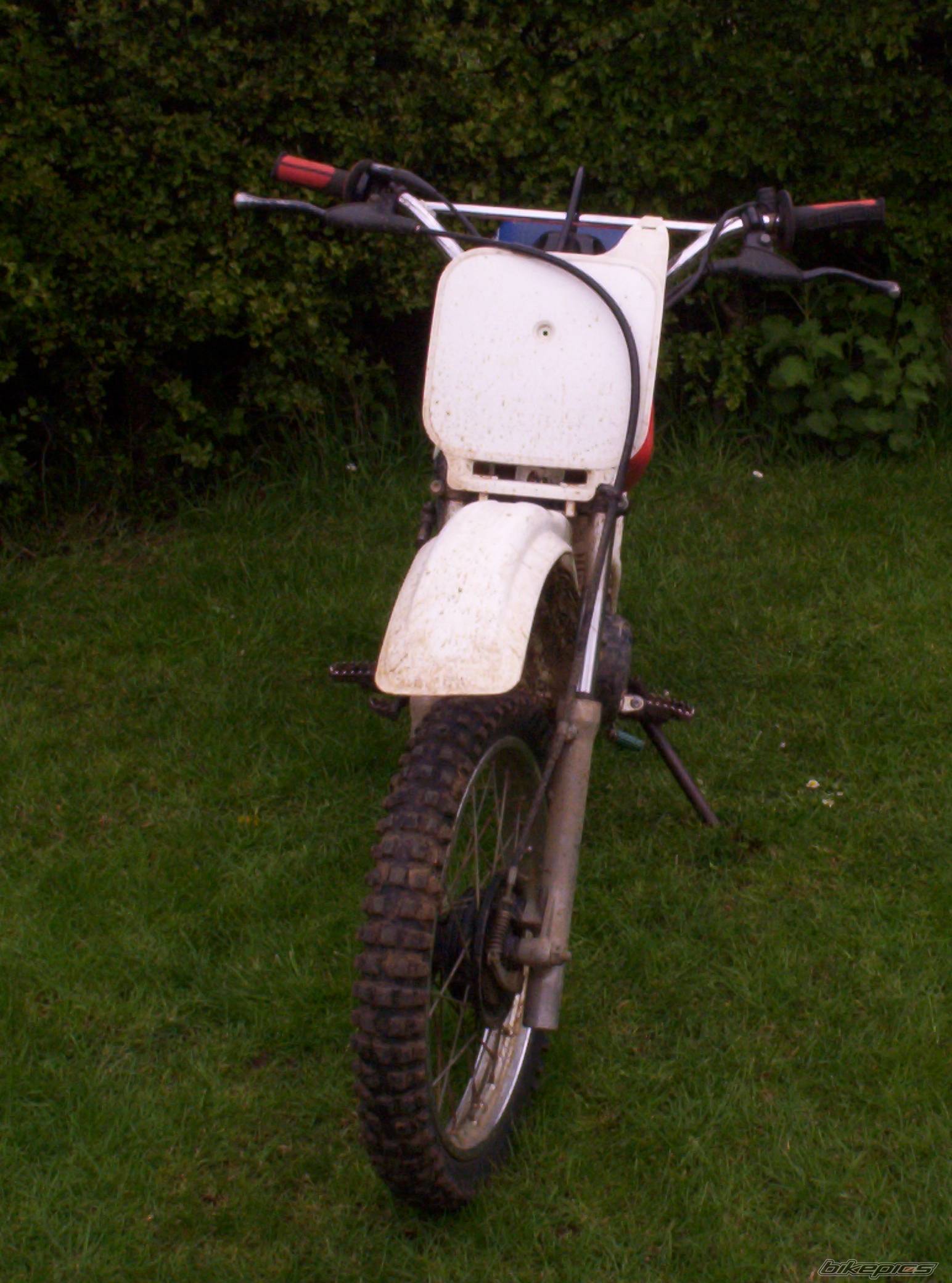 Photo 337634