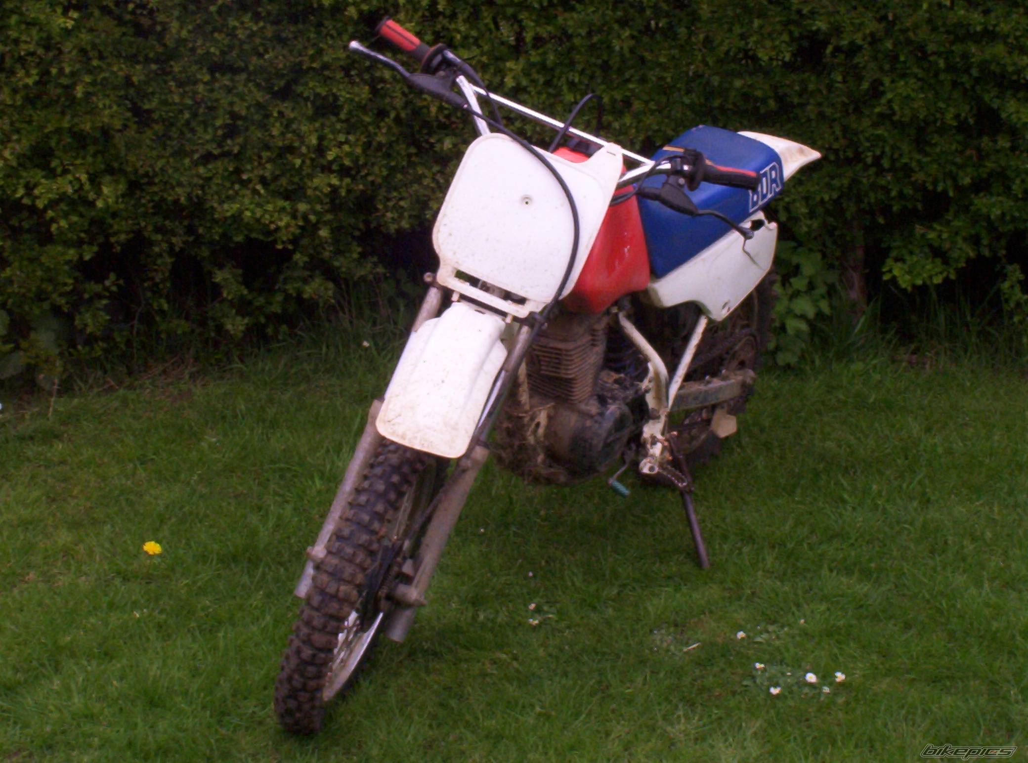 Photo 337636