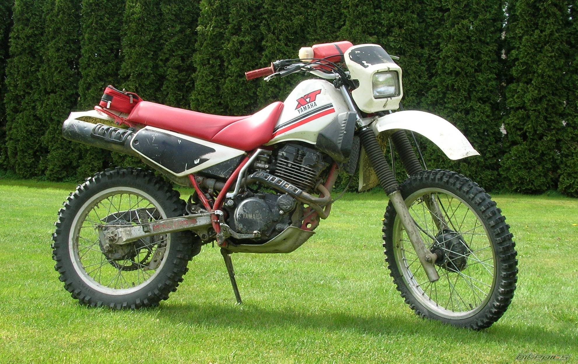 Bike Photo 337639