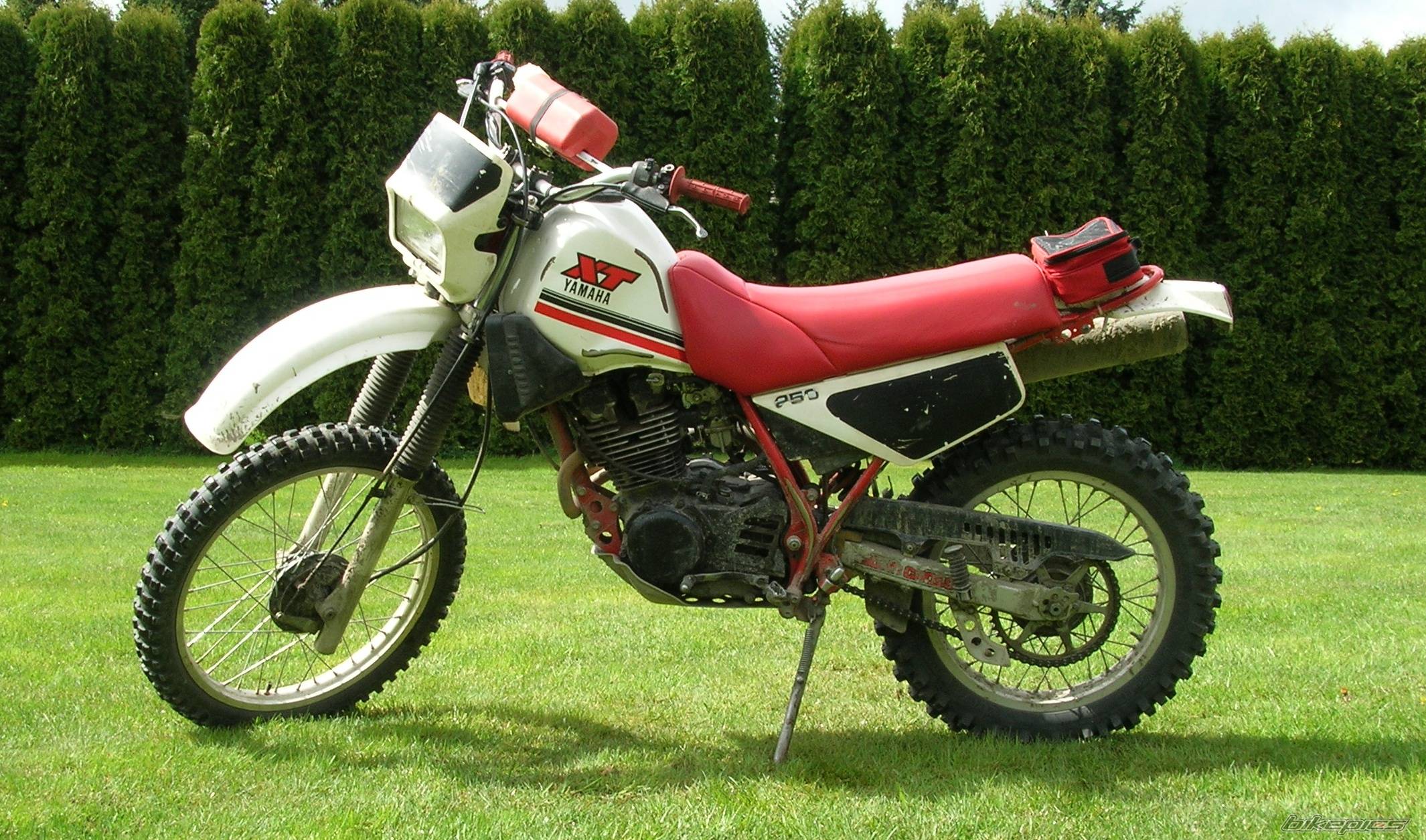 Bike Photo 337652