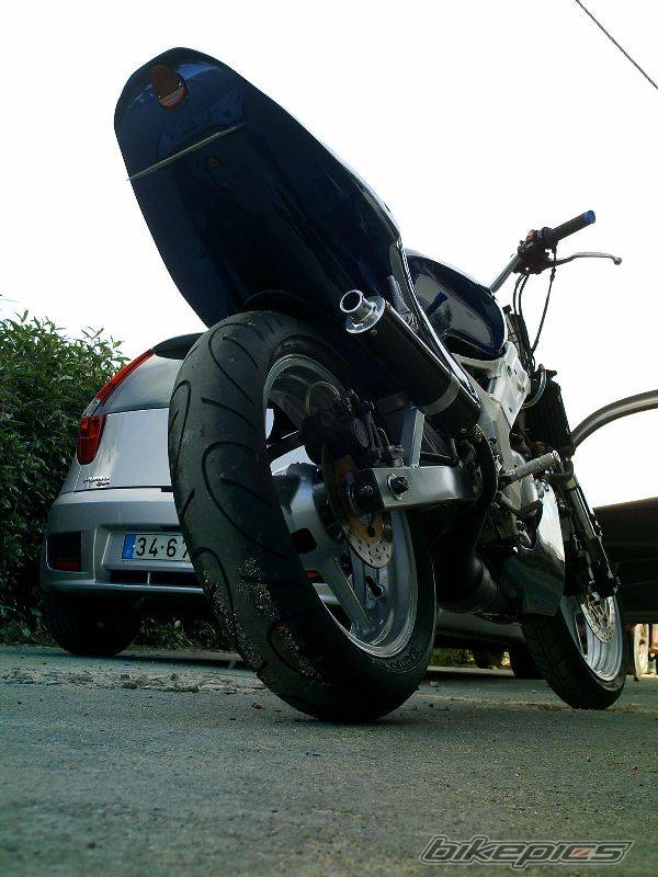 Photo 337666