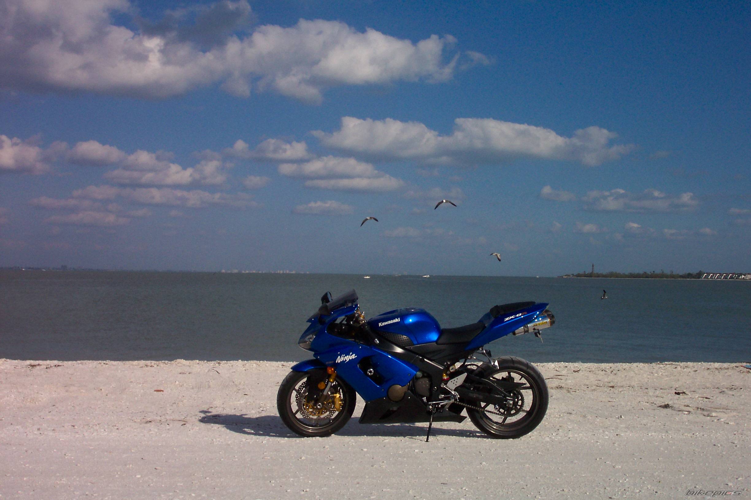 Photo 337677