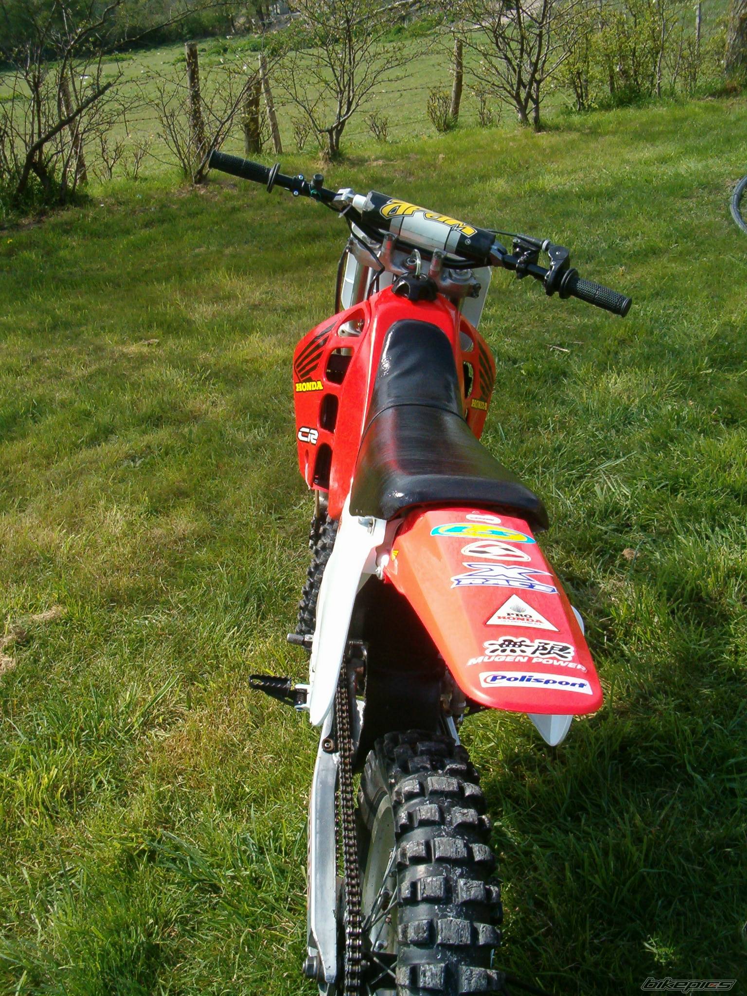 Photo 337725