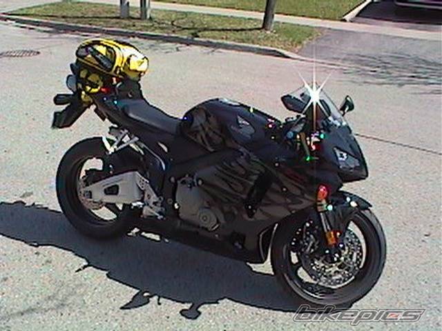 Photo 337732