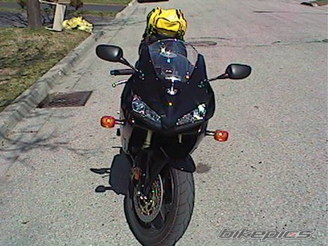 Photo 337733