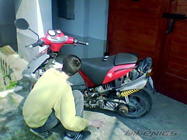 Photo 337745