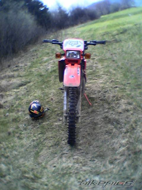 Photo 337772