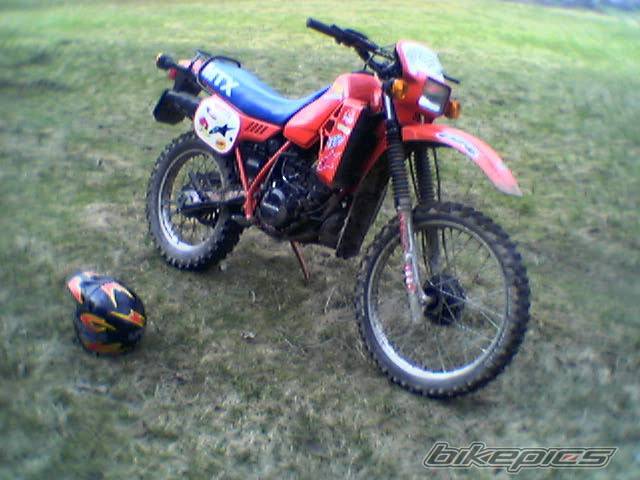 Photo 337774