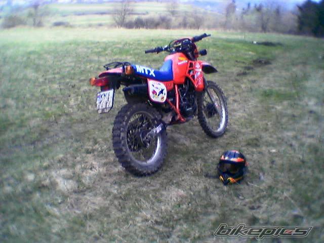 Photo 337775