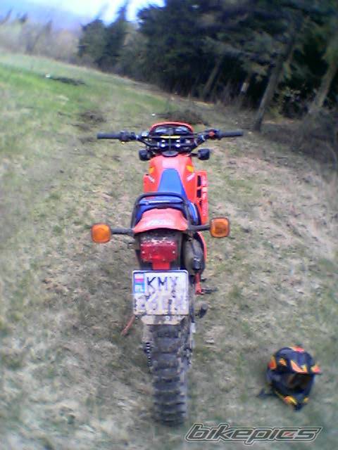 Photo 337779