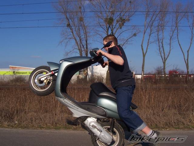 Photo 337827