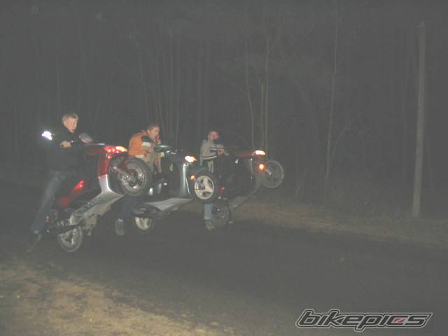 Photo 337851
