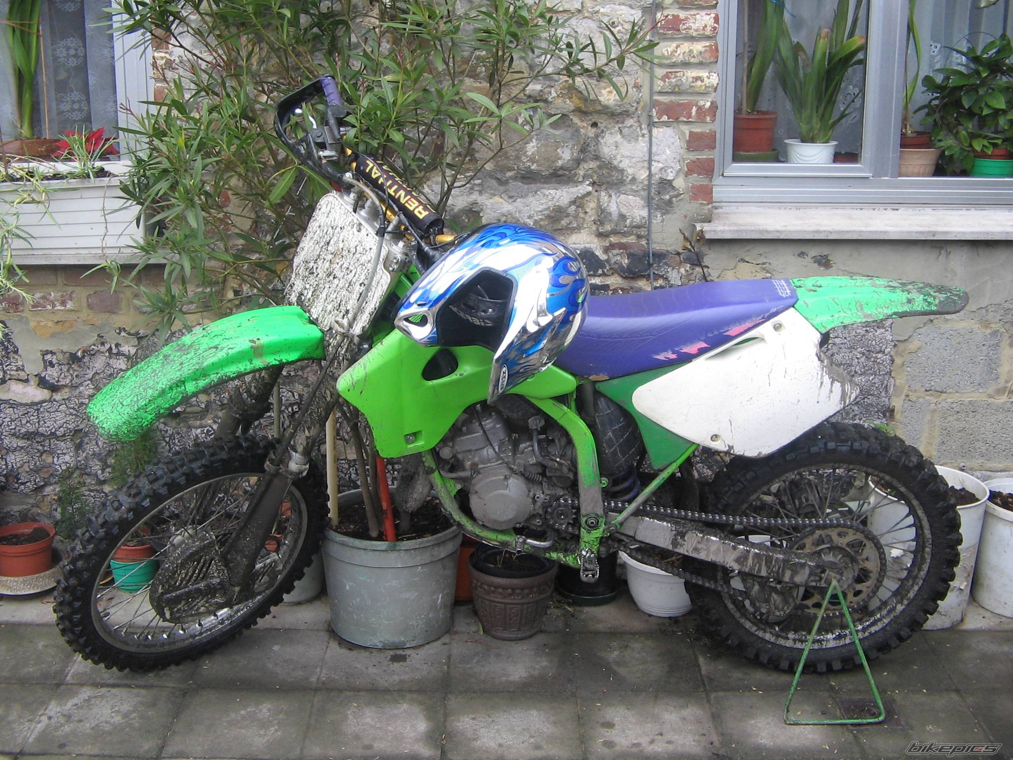 Photo 337853